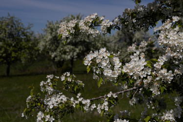 Similar image 22637309