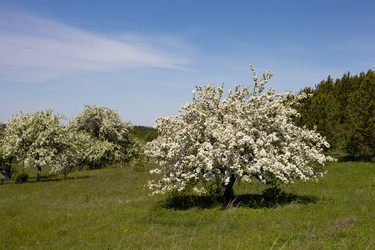 Similar image 22637317