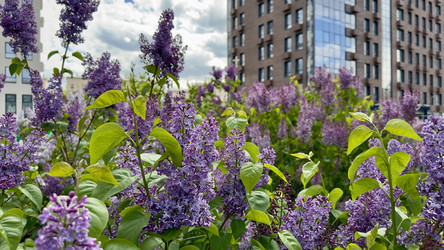 Similar image 22637318