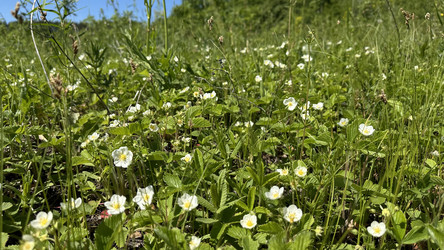 Similar image 22637319