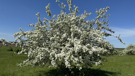 Similar image 22637320