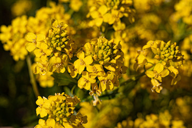 Similar image 22637321