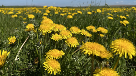 Similar image 22637322