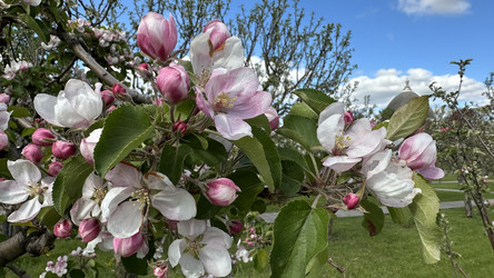 Similar image 22637323