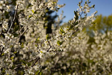 Similar image 22637324