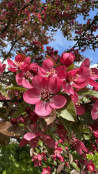 Similar image 22637333