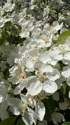 Similar image 22637334