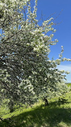 Similar image 22637335