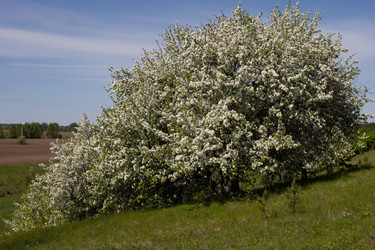 Similar image 22637337