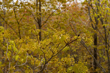 Similar image 22637338