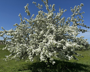 Similar image 22637339