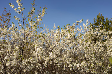 Similar image 22637340