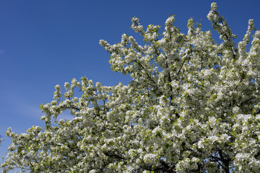 Similar image 22637341