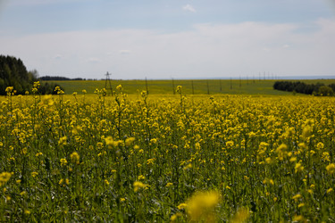 Similar image 22636972