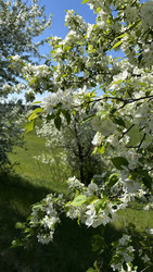 Similar image 22636973