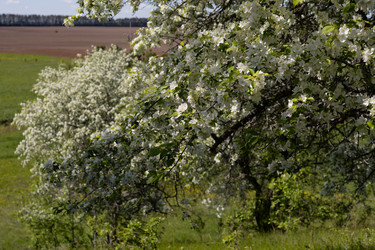 Similar image 22636974