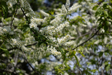 Similar image 22636975