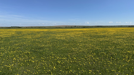 Similar image 22636976