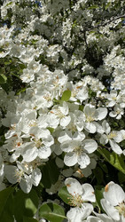 Similar image 22636990