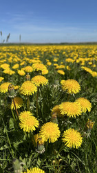 Similar image 22636991