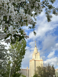 Similar image 22636992