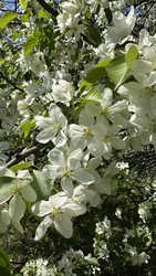 Similar image 22636993