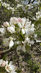 Similar image 22636994