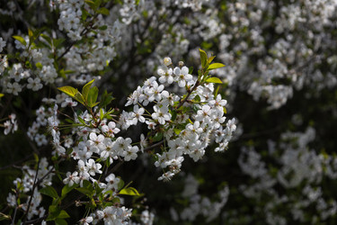 Similar image 22636995