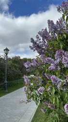 Similar image 22636996