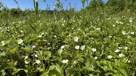 Similar image 22637009