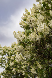 Similar image 22637010