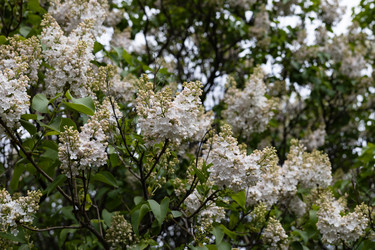 Similar image 22637011