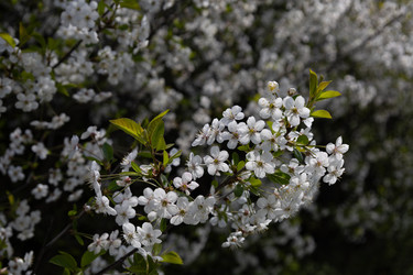 Similar image 22637012