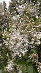 Similar image 22637014