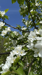 Similar image 22637015