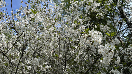 Similar image 22637023