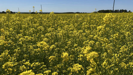 Similar image 22637024