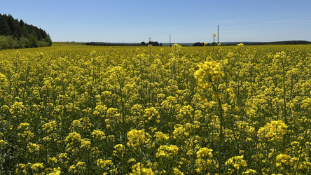 Similar image 22637025