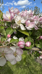 Similar image 22637026