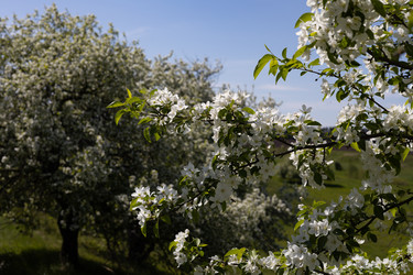 Similar image 22637027