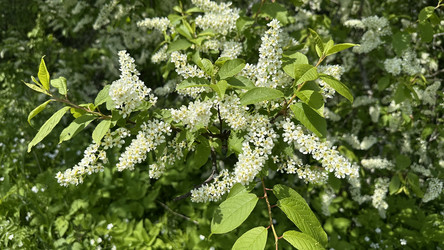 Similar image 22637028