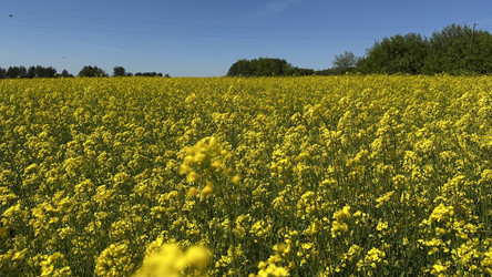 Similar image 22637040