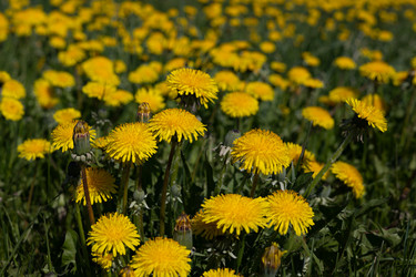 Similar image 22637041