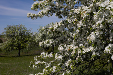 Similar image 22637042