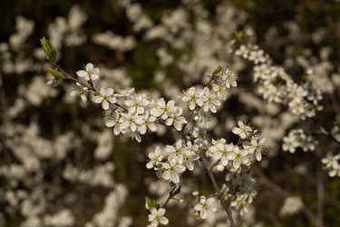 Similar image 22637043