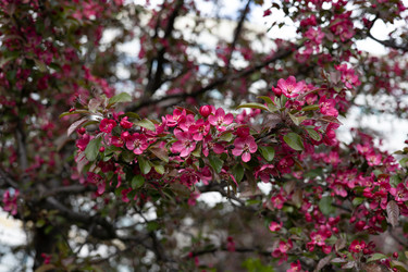 Similar image 22637044