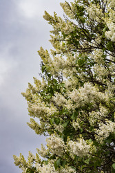 Similar image 22637045