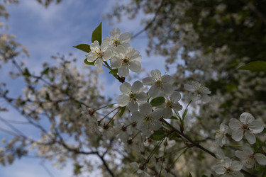 Similar image 22637054