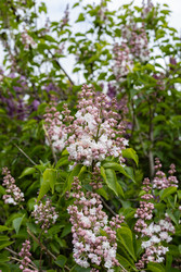 Similar image 22637055