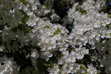 Similar image 22637056